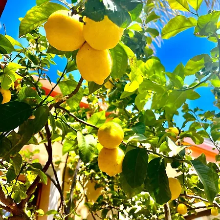Casa Klod * Ibiza